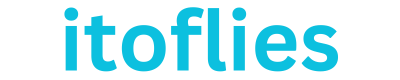 itoflies.com